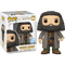 Funko Pop! Harry Potter - Hagrid with Letter Super Sized 6" #164 - The Amazing Collectables